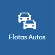 flotas autos allianz seguro